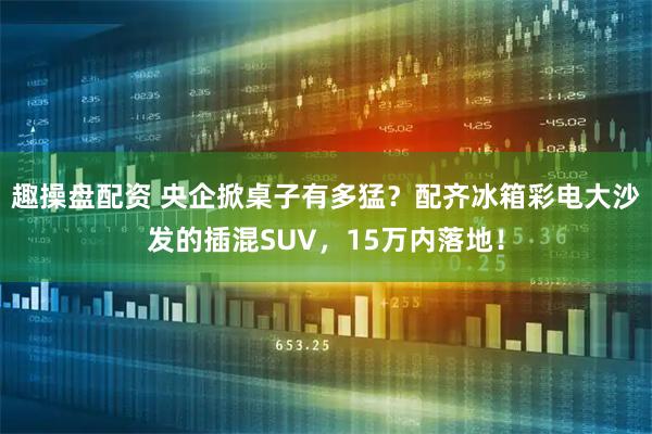 趣操盘配资 央企掀桌子有多猛？配齐冰箱彩电大沙发的插混SUV，15万内落地！