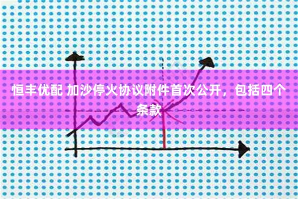 恒丰优配 加沙停火协议附件首次公开，包括四个条款