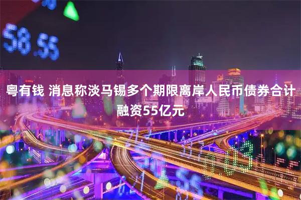 粤有钱 消息称淡马锡多个期限离岸人民币债券合计融资55亿元